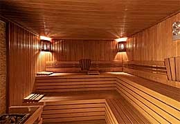 Sauna d'occasion